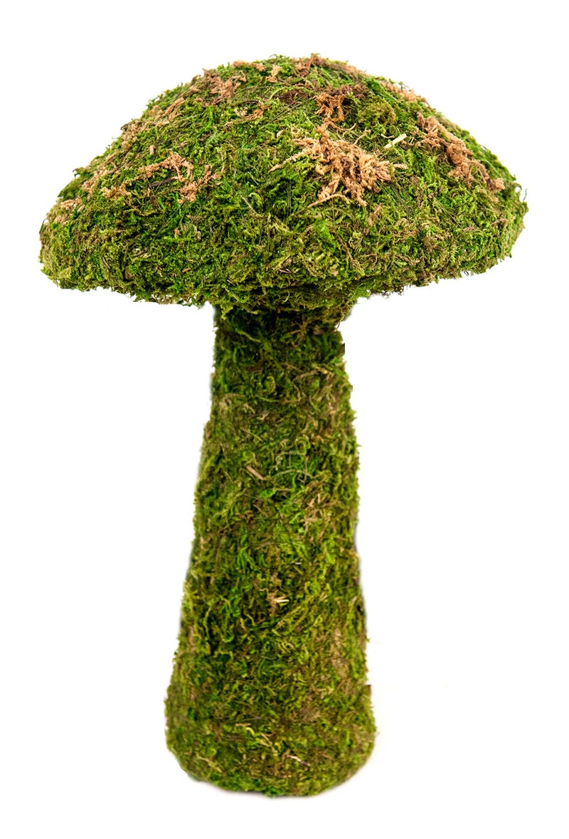 SuperMoss (55271) Deco Moss Small Mushroom, 11", Fresh Green